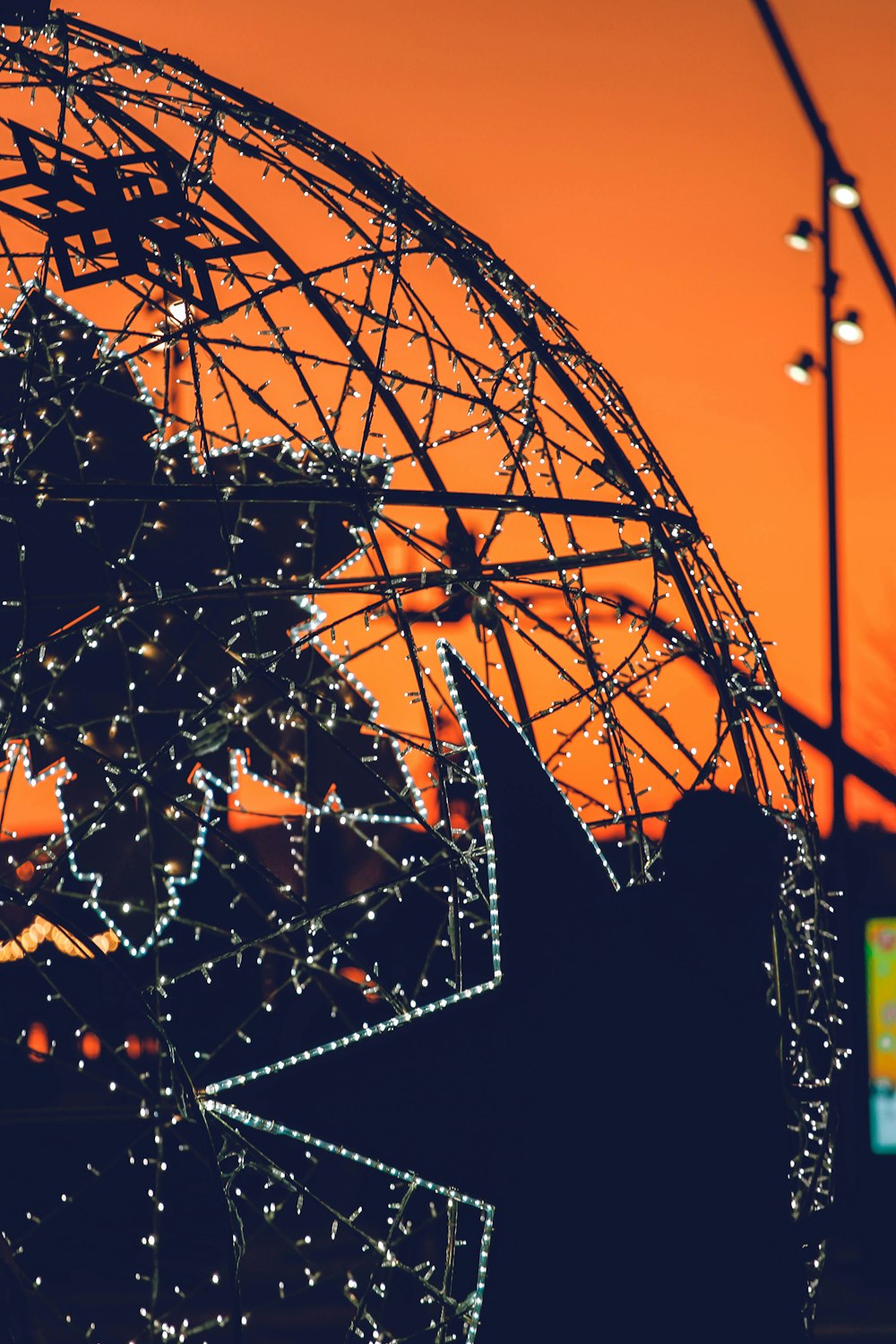 silhouette of tree with leaves during sunset