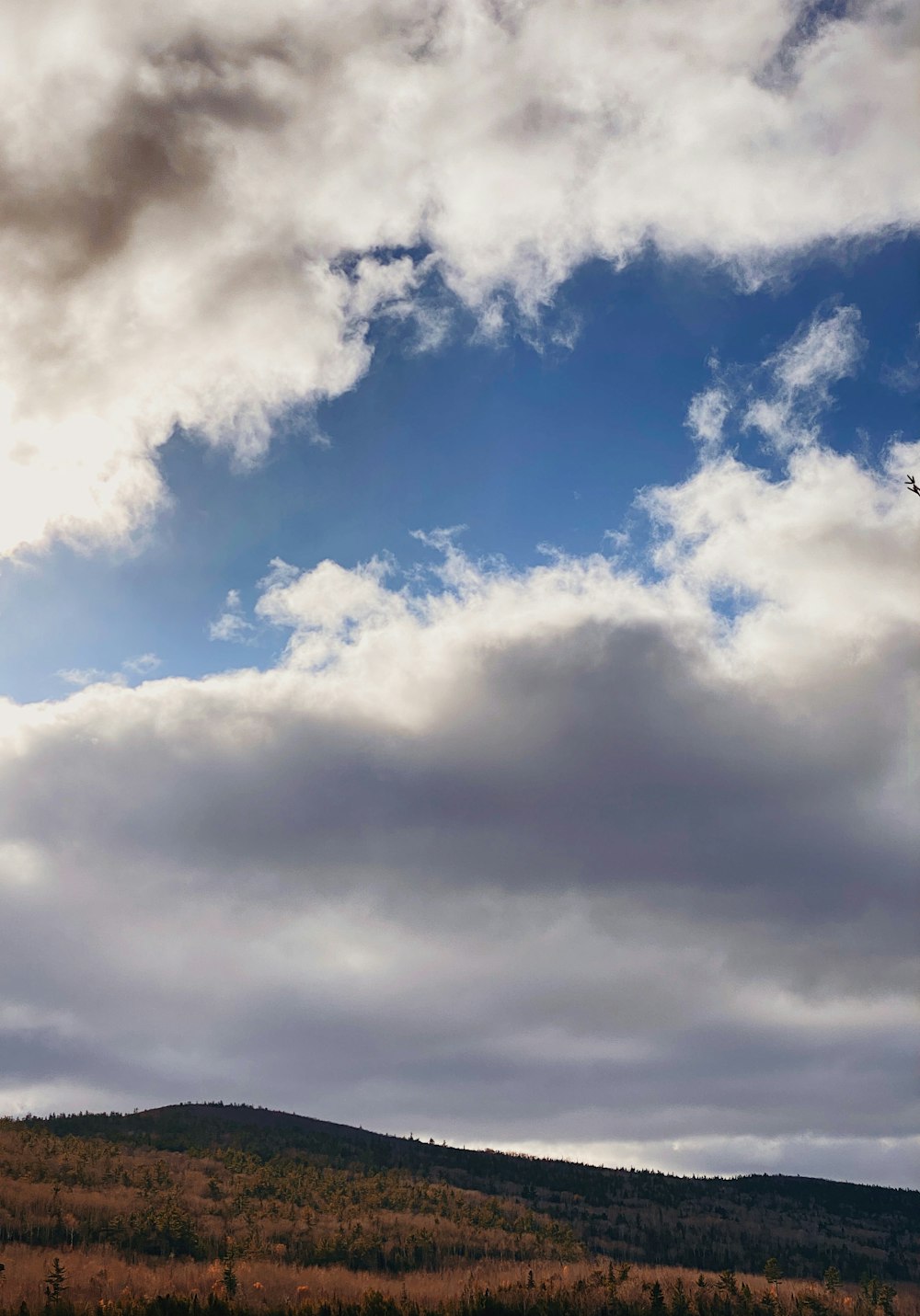 white clouds and blue sky during daytime