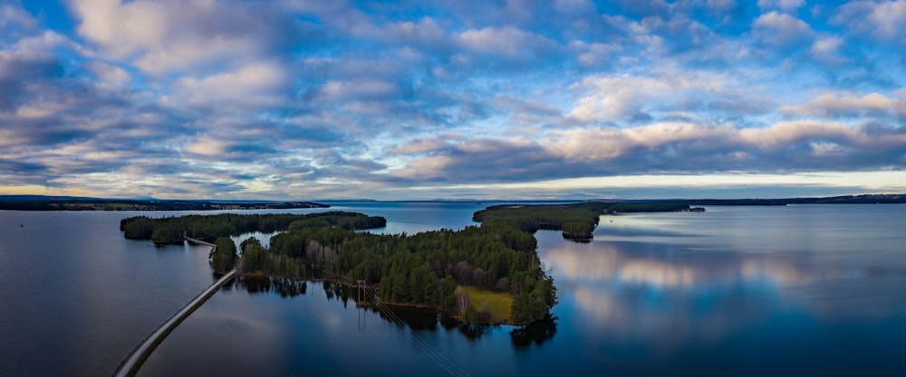 green trees near body of water under cloudy sky during daytime