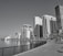 A waterfront cityscape featuring a row of modern high-rise buildings and a clear sky. Palm trees line the pathway beside the water, and a white building with minarets is visible in the distance. Construction cranes are also present, indicating ongoing development.