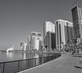A waterfront cityscape featuring a row of modern high-rise buildings and a clear sky. Palm trees line the pathway beside the water, and a white building with minarets is visible in the distance. Construction cranes are also present, indicating ongoing development.