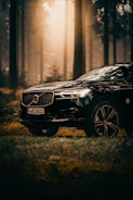 A sleek black car is parked amidst a dense forest with tall trees. The scene is illuminated by a warm, golden light filtering through the mist, creating a mysterious and serene atmosphere.