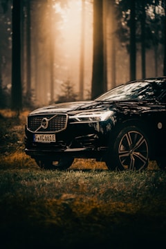 A sleek black car is parked amidst a dense forest with tall trees. The scene is illuminated by a warm, golden light filtering through the mist, creating a mysterious and serene atmosphere.