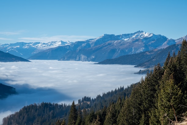 A serene view of San Francisco Peaks towering over Oak Creek Canyon under a clear blue sky.
