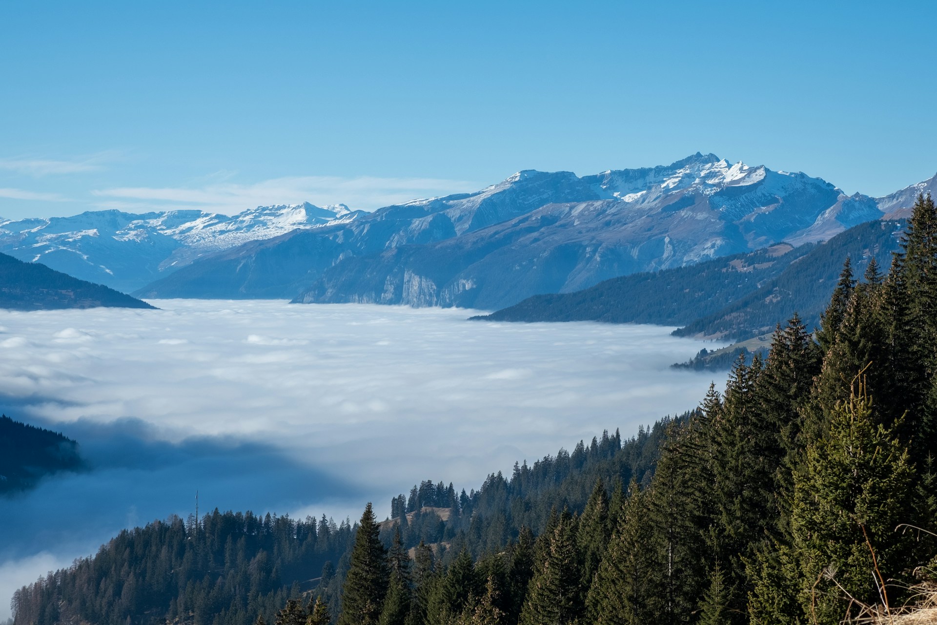 gray computer monitor