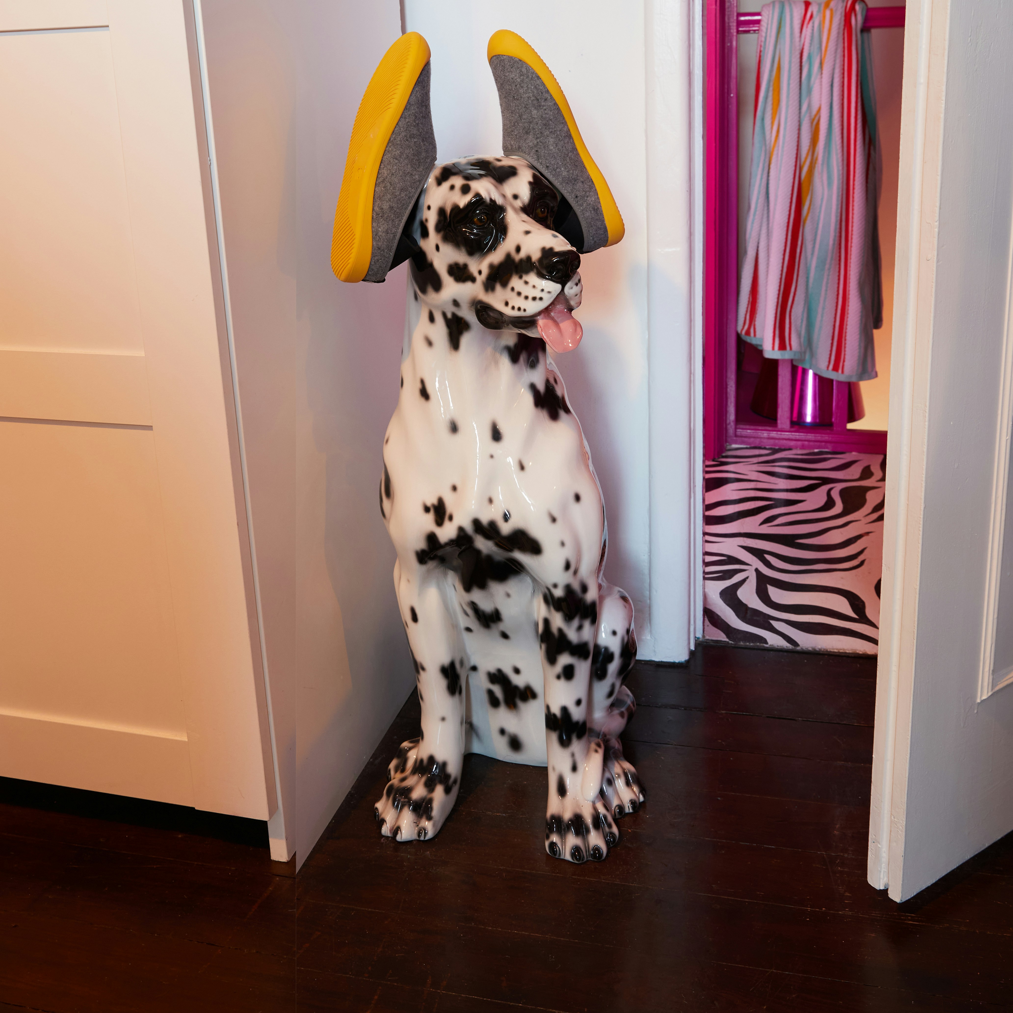dalmatian dog sitting on floor