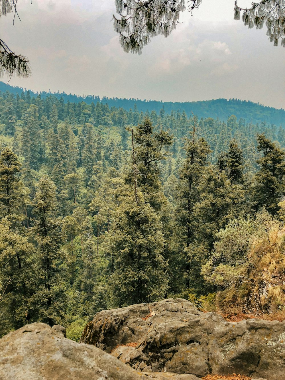 green trees on brown rocky mountain under blue sky during daytime