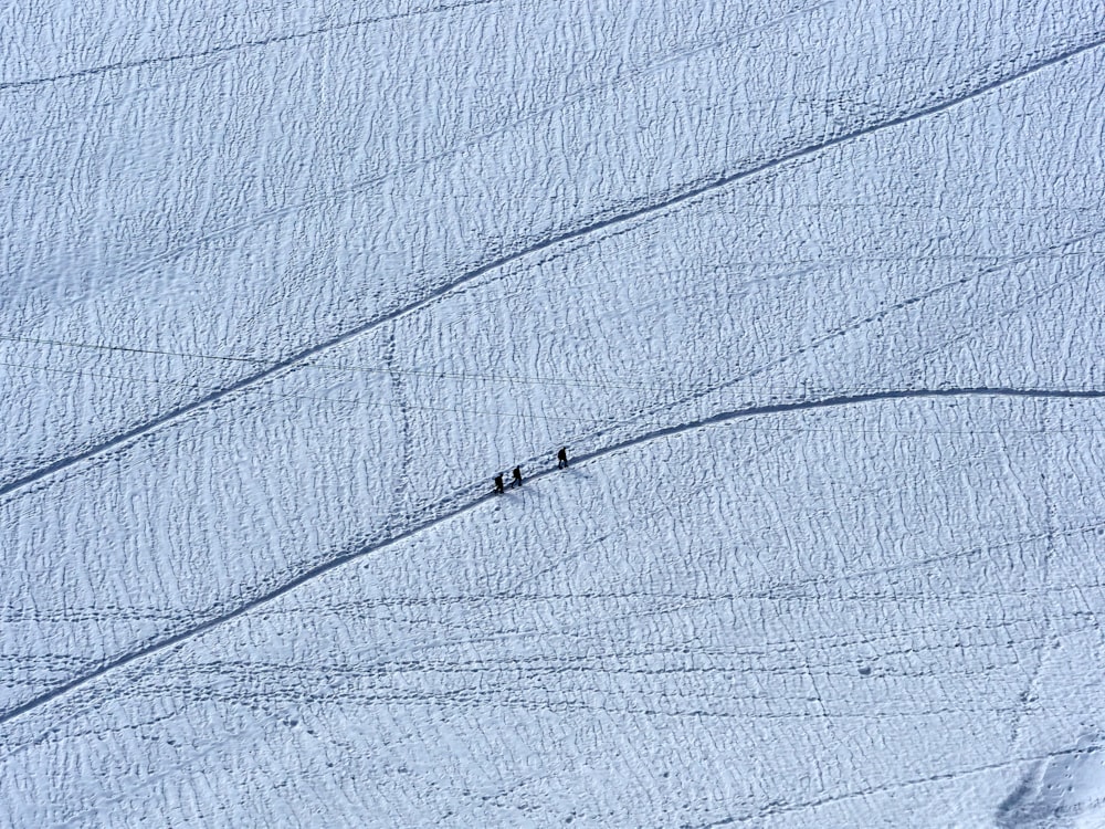 a couple of people walking across a snow covered field