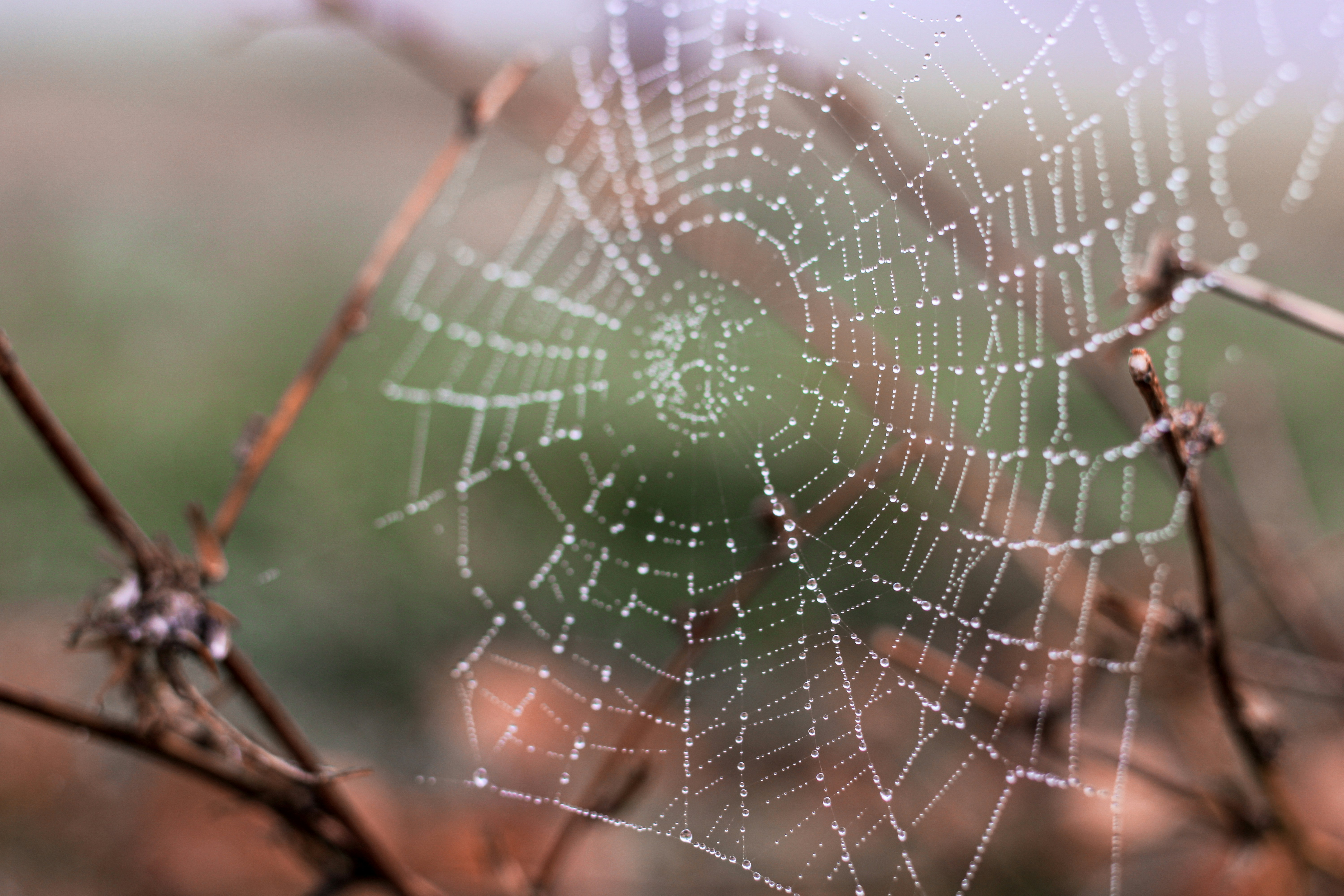 Walks through the fields of Ciudad Real in autumn