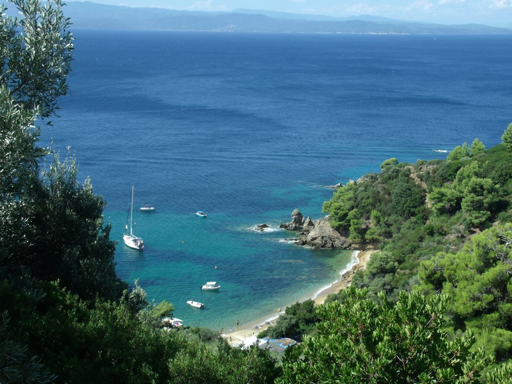 una vista di una spiaggia con barche in acqua