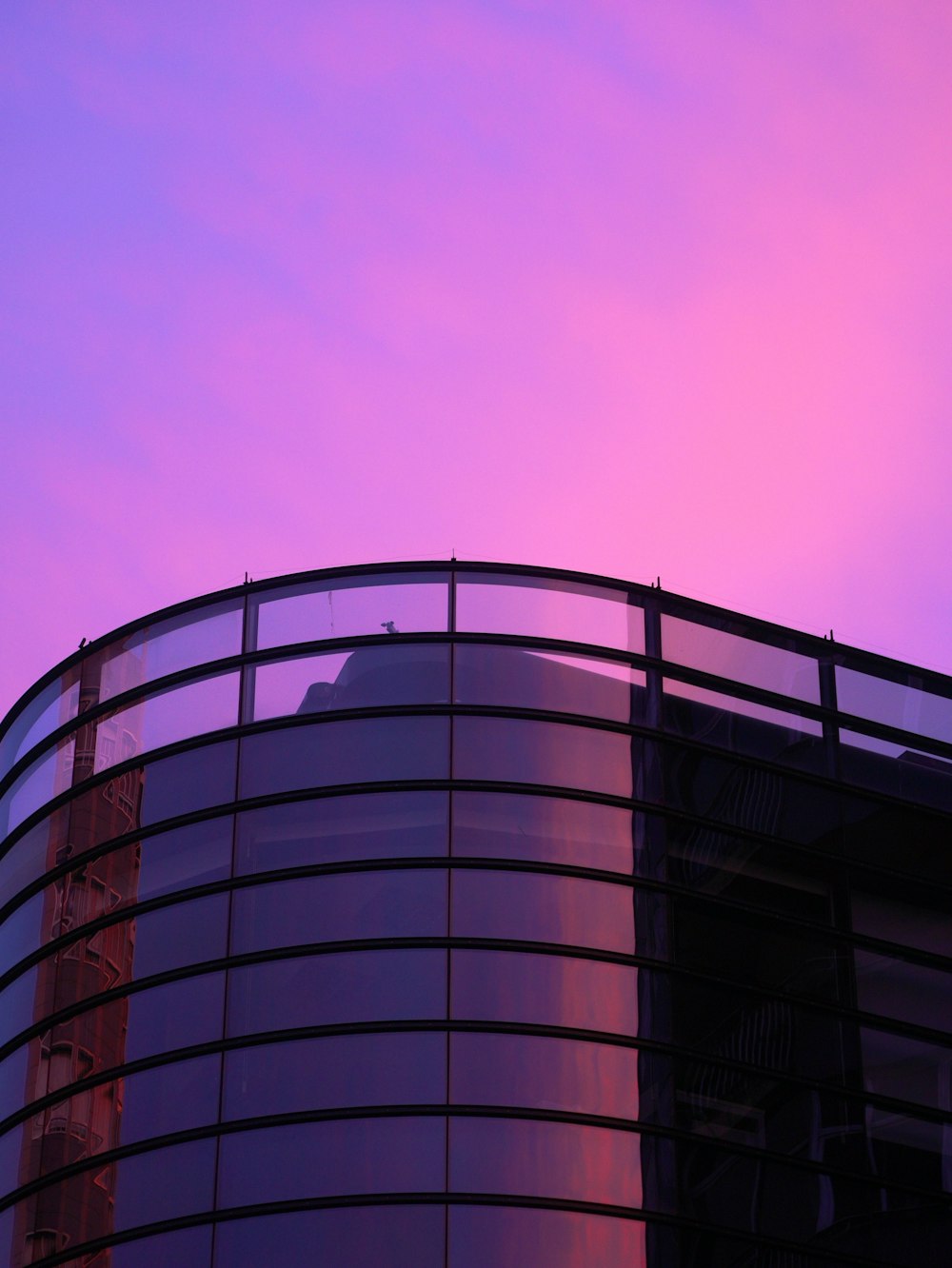분홍색 하늘 아래 회색 콘크리트 건물