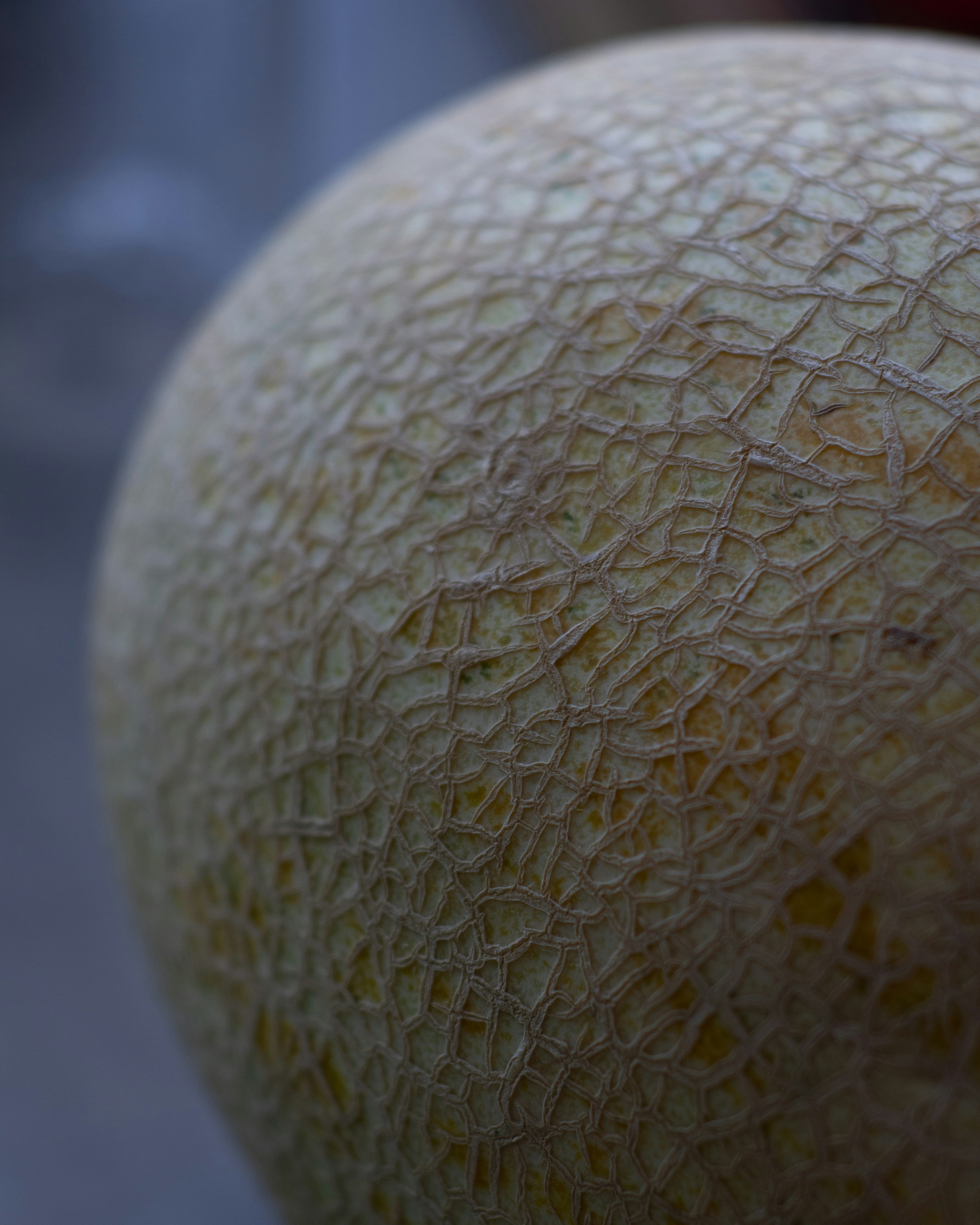 Japanese Melon Varieties: From Cantaloupe to Premium Yubari King