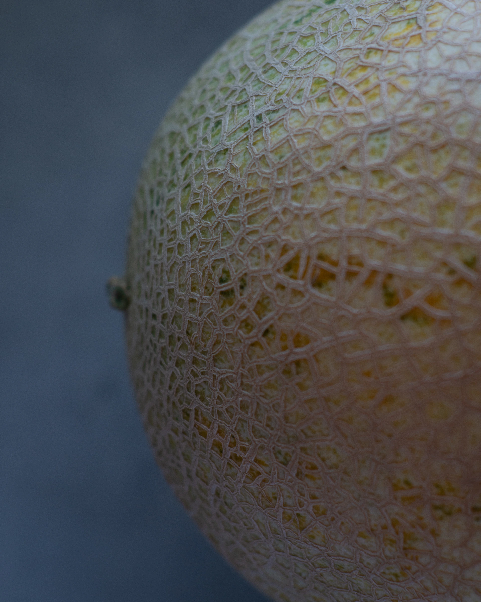 close up photo of round white fruit