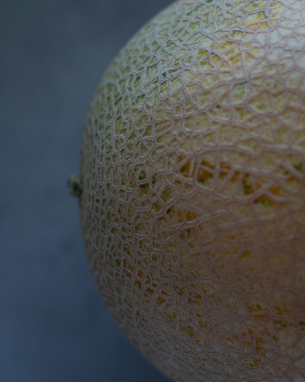 close up photo of round white fruit