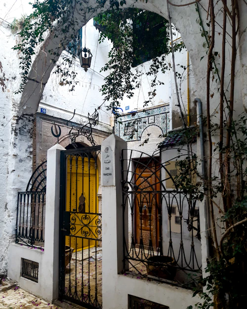 Portail en fer forgé et jardin