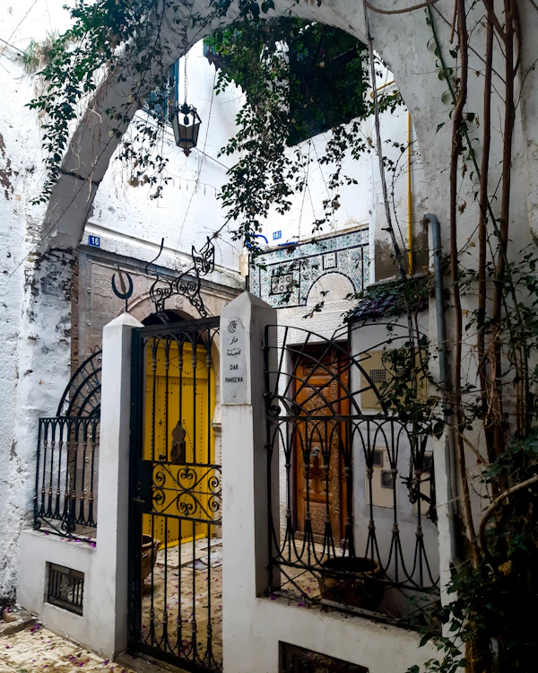 Portail en fer forgé et jardin, médina de Tunis