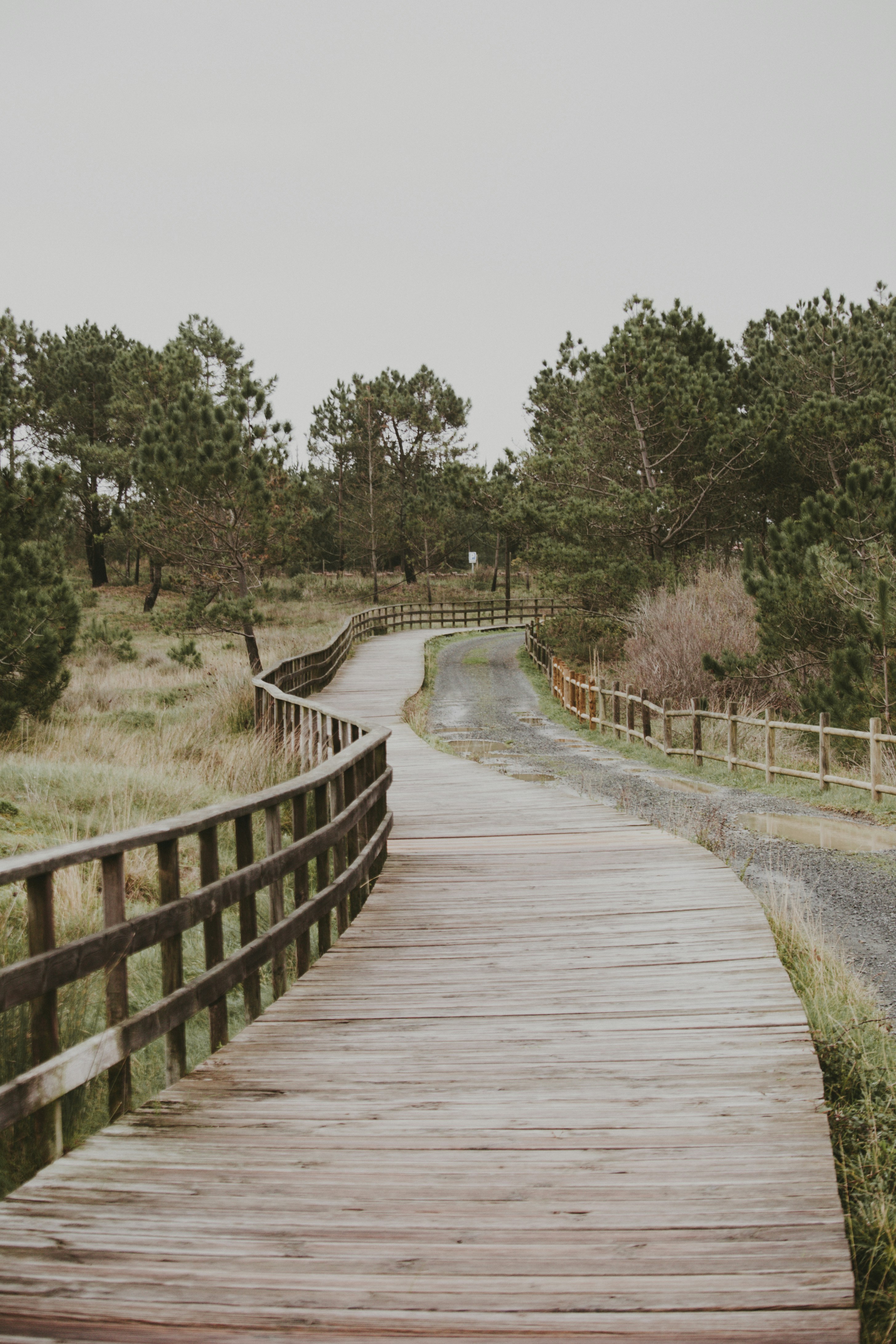 Photo by landedition