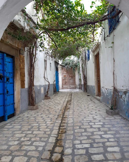 Ruelle voûtée de vigne, porte bleue