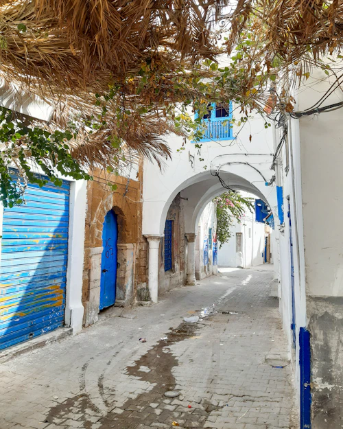 Volet roulant bleu, ruelle de la médina
