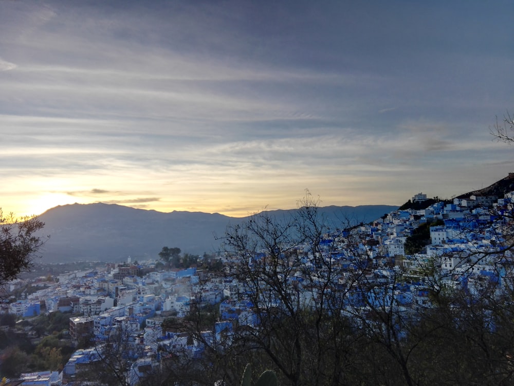 aerial view of city during daytime