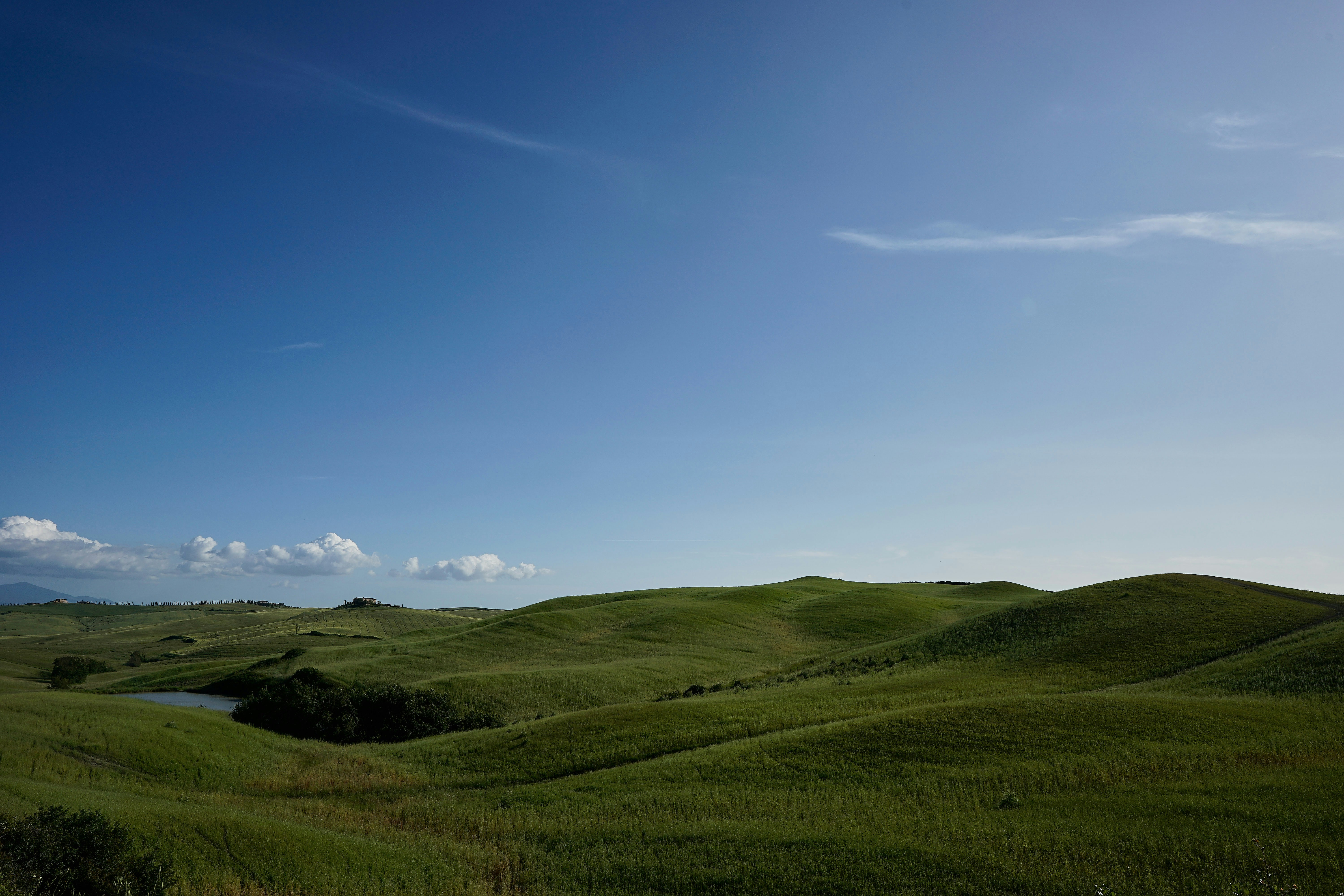 Photo by wolfgang_hasselmann