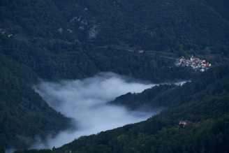 A small village with colorful buildings nestles among lush, densely forested hills. Thick, white fog rolls through the valley, creating a serene and mystical atmosphere.