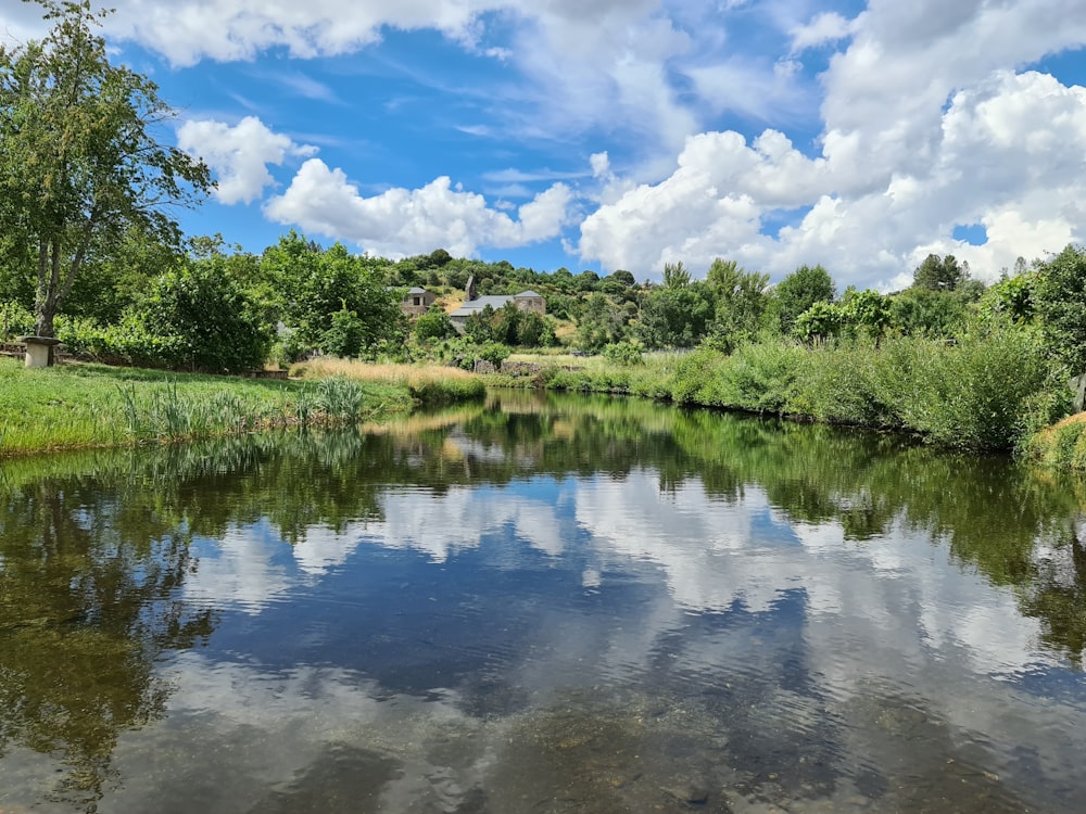 green grass and trees near lake under blue and white cloudy sky during daytime