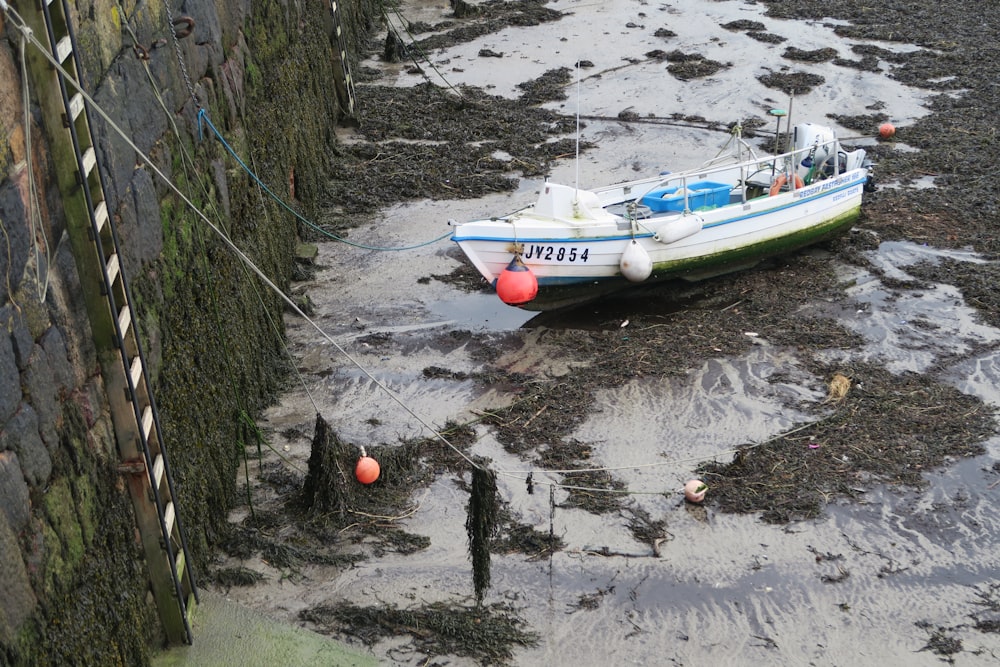 white and blue boat on water