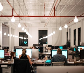 people sitting on chair in front of computer