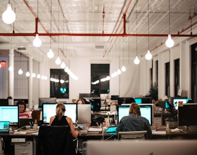 people sitting on chair in front of computer