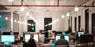 people sitting on chair in front of computer