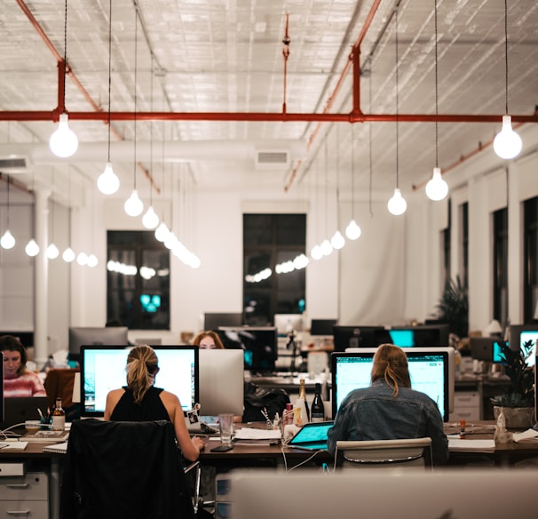 people sitting on chair in front of computer