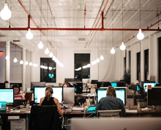 people sitting on chair in front of computer