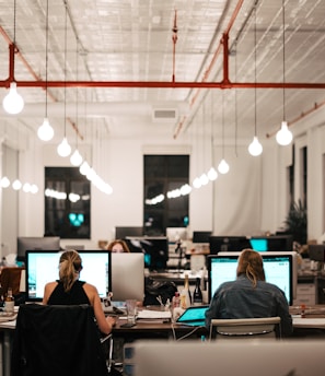 people sitting on chair in front of computer