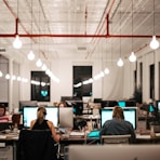 people sitting on chair in front of computer