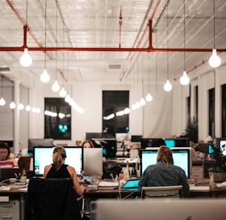 people sitting on chair in front of computer