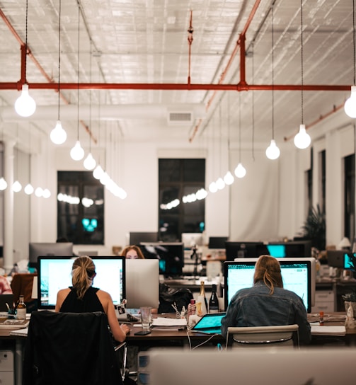 people sitting on chair in front of computer