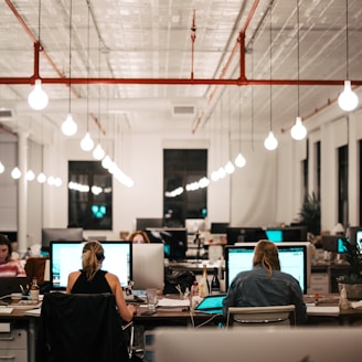 people sitting on chair in front of computer