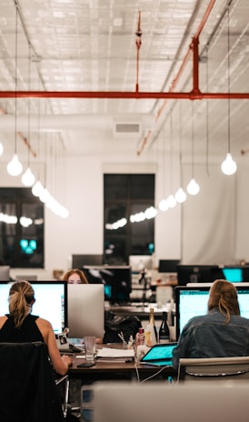 people sitting on chair in front of computer