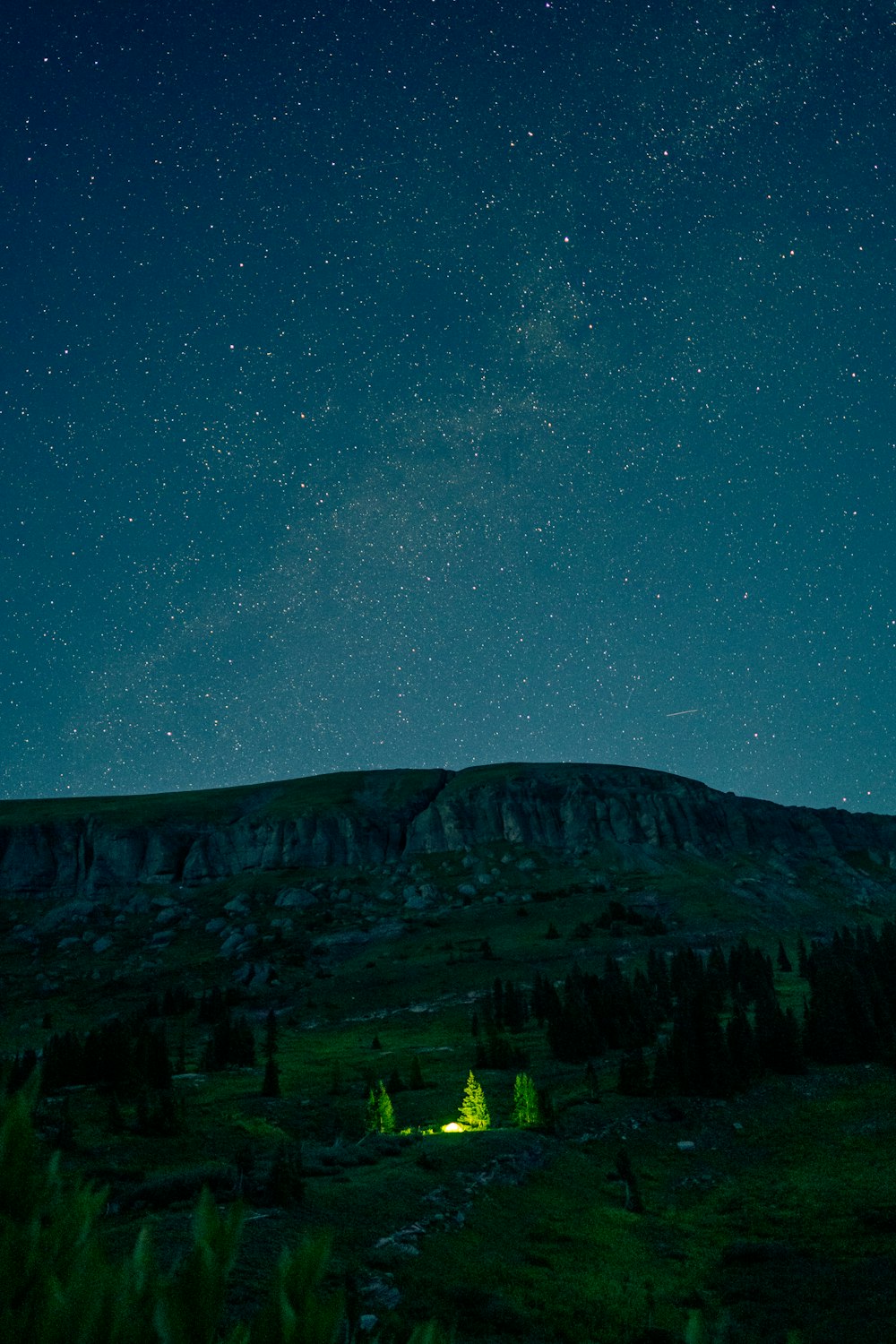 árboles verdes bajo el cielo azul durante la noche