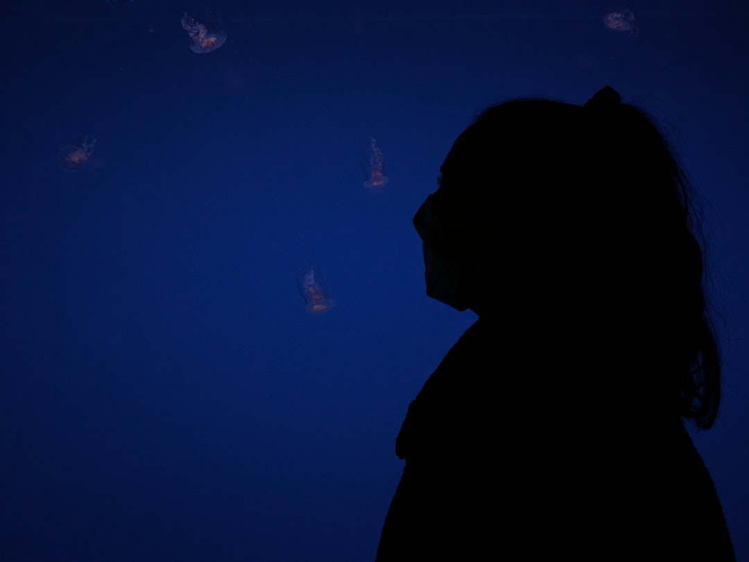 silhouette of man looking at blue and white lights