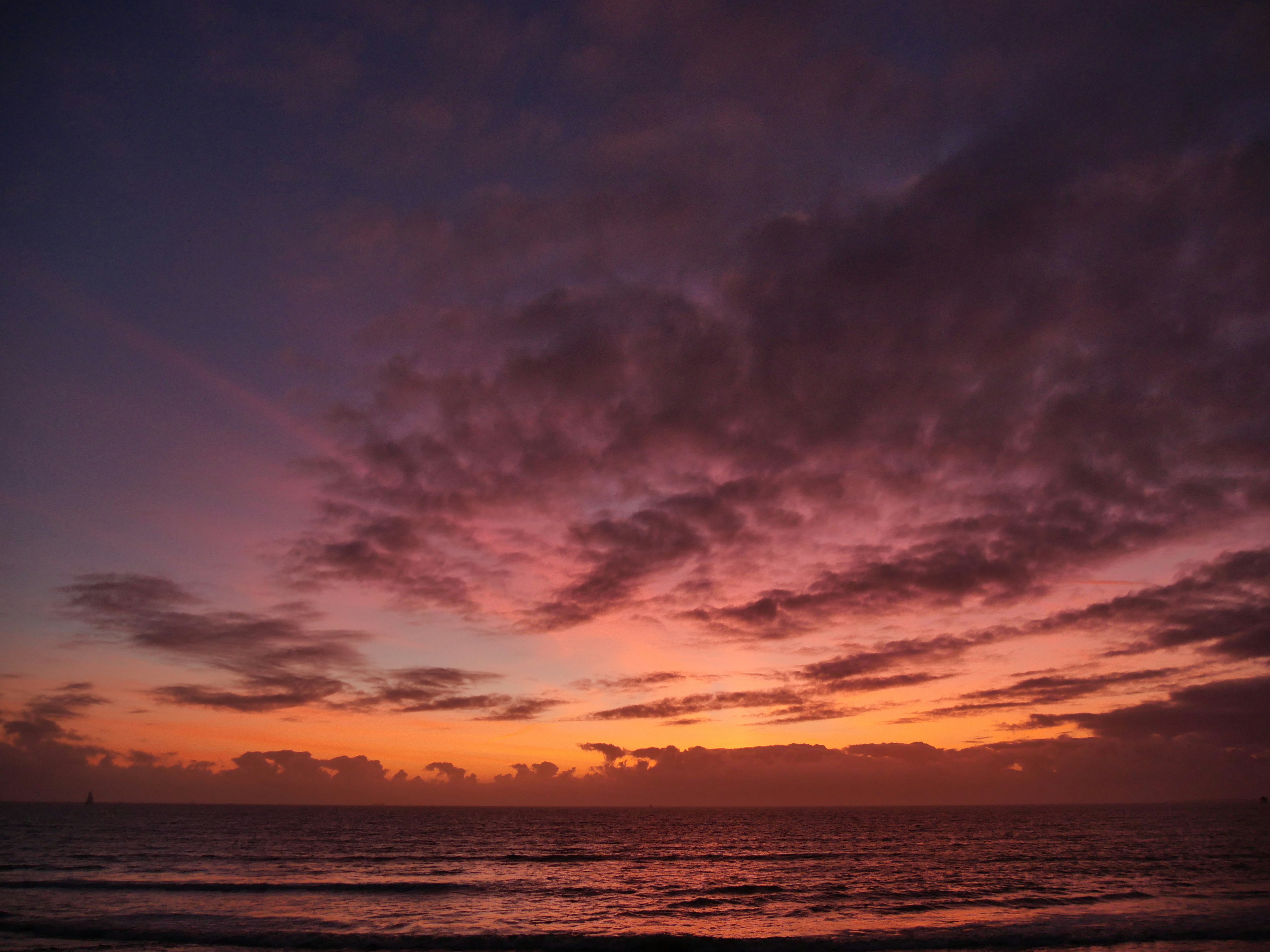 Photo by nimbus_vulpis