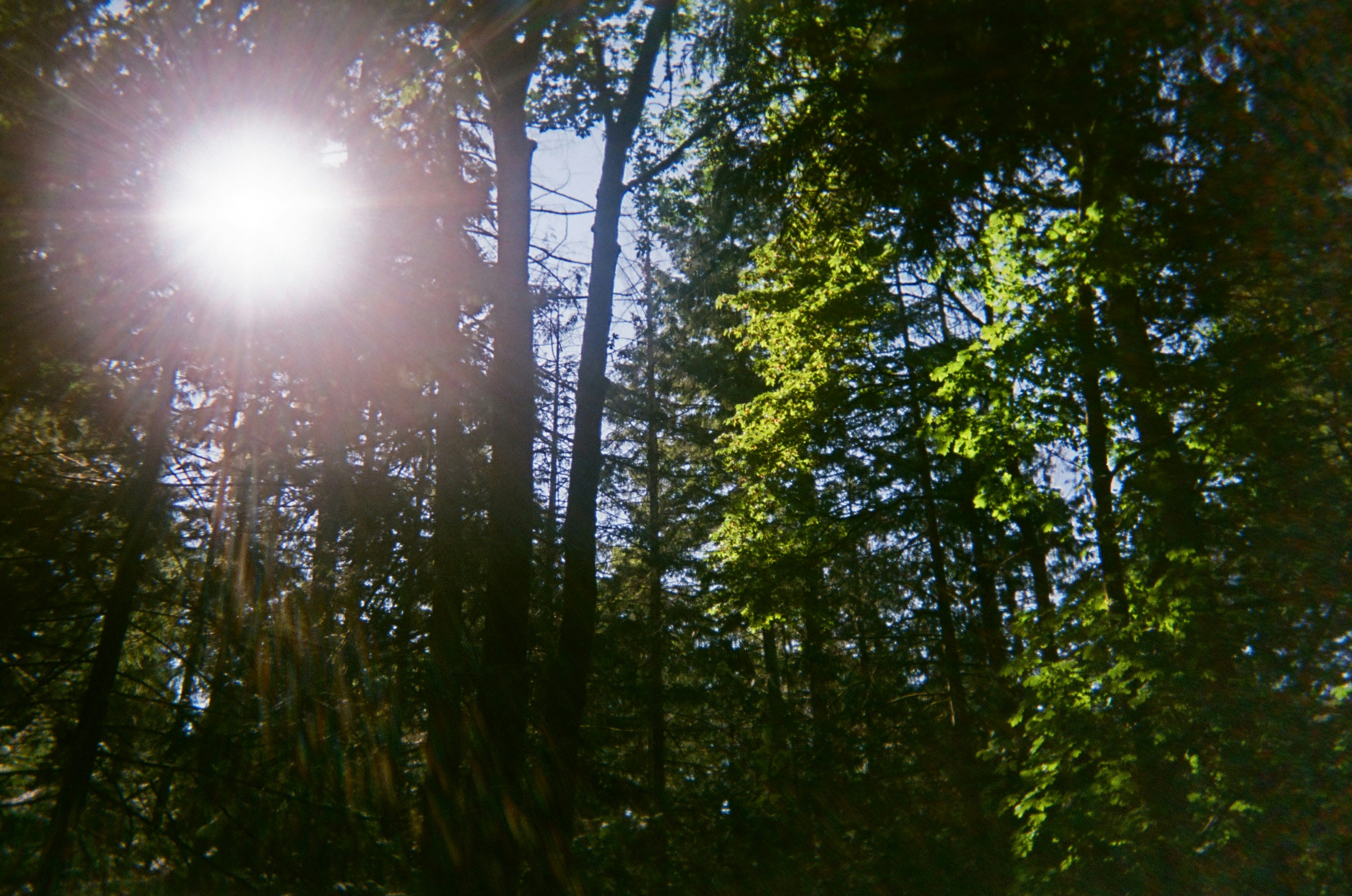 Photo by mia_mackenzie