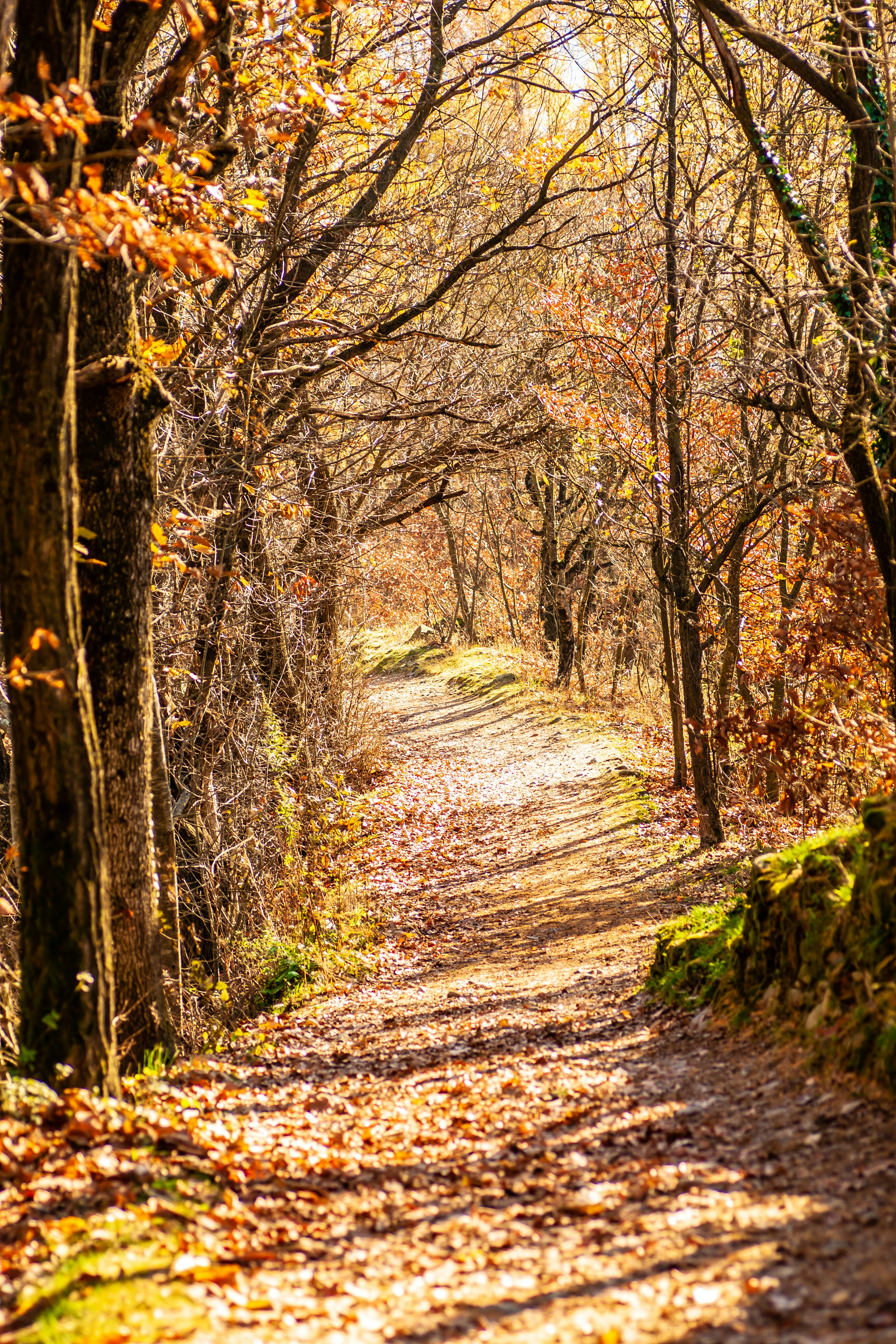 Photo by photoroutes