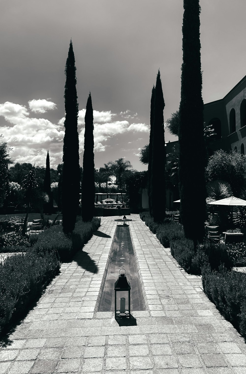 gray concrete pathway between trees and plants