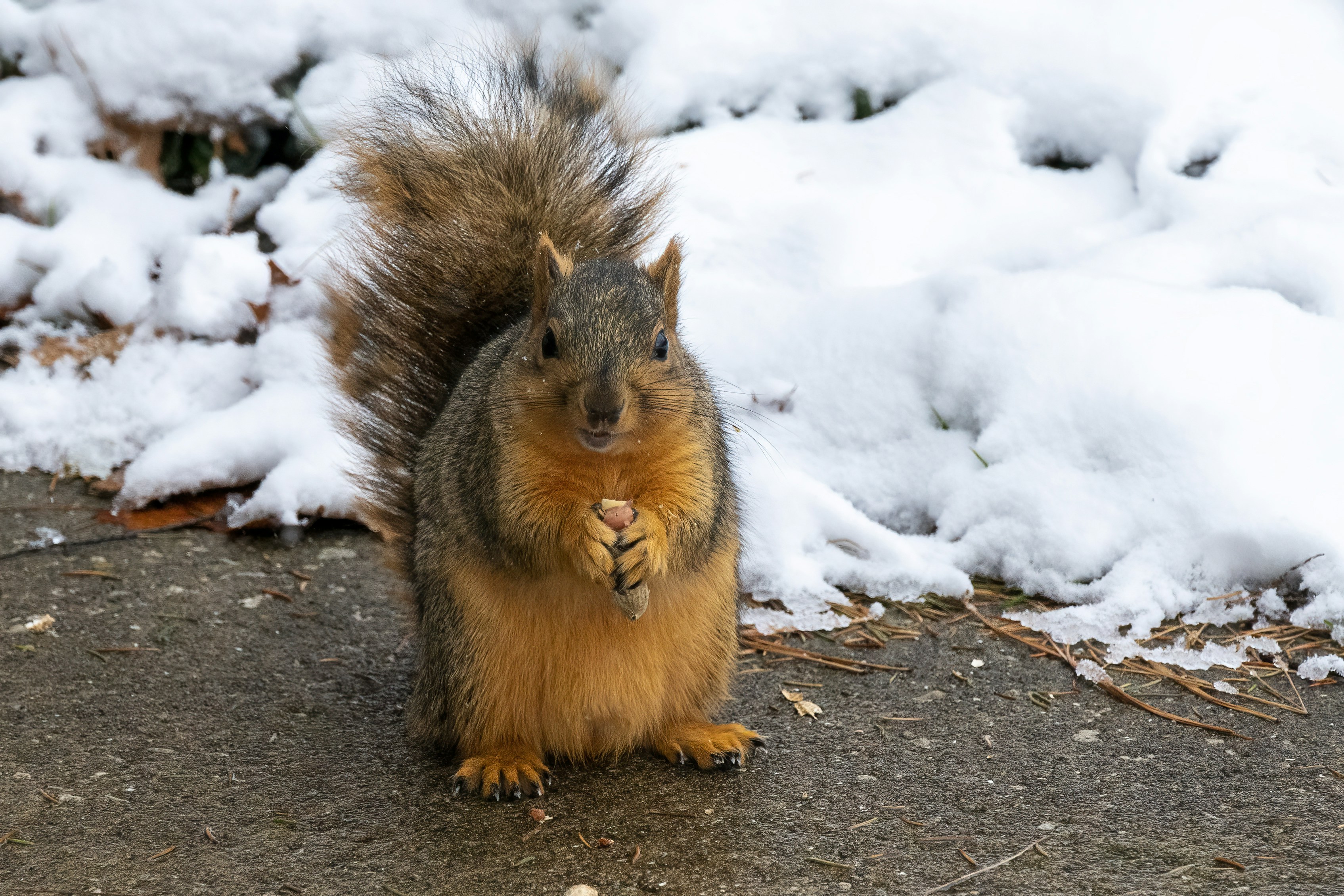 Photo by cholewinski