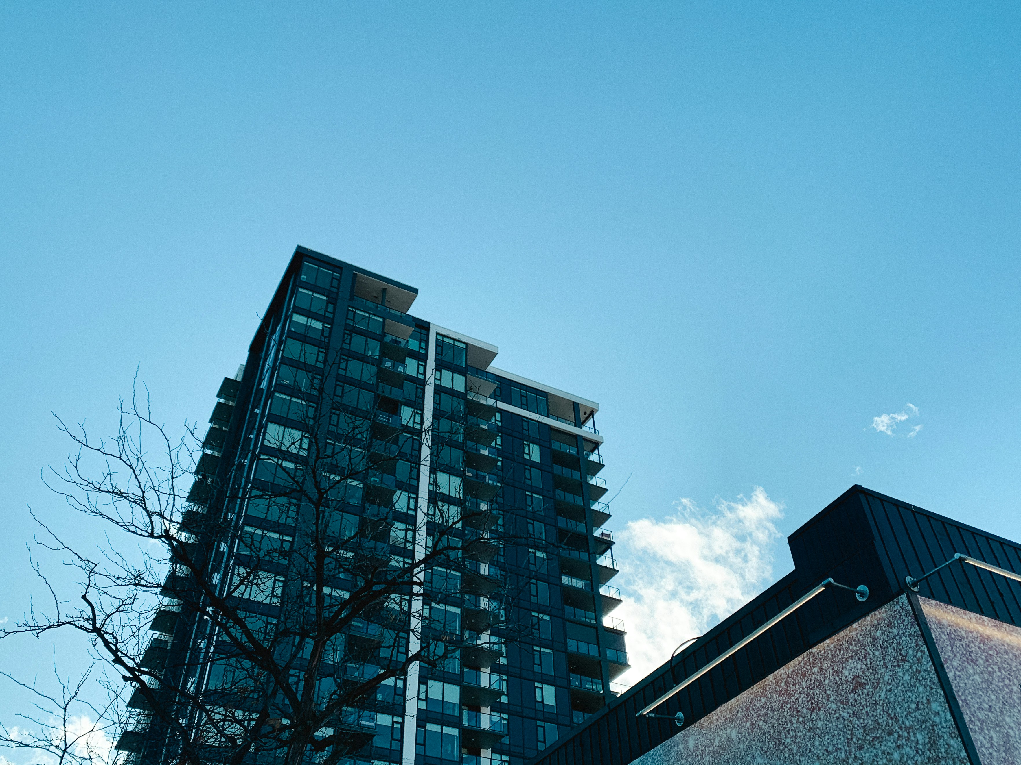 Photo by kolbymilton