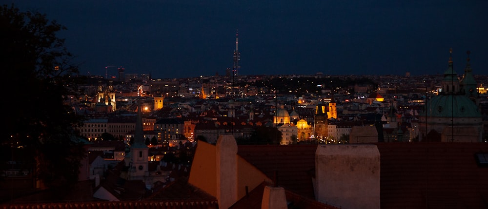 city with high rise buildings during night time