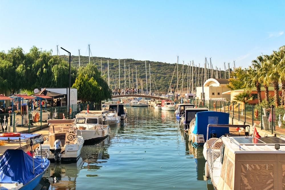 Weißes und blaues Boot tagsüber am Dock