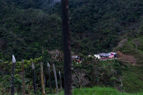 A small house set in a lush, verdant landscape with dense forest surrounding it. Laundry is hung outside the house, indicating a day-to-day activity amidst nature. The foreground features a rustic fence with branches, enhancing the rural setting.